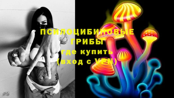 дживик Лагань