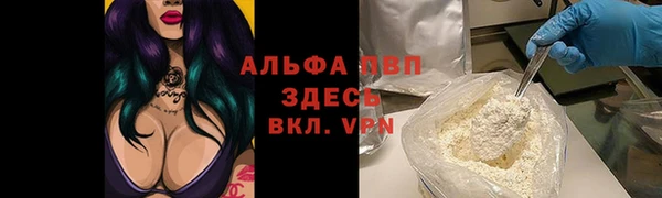 шишки Ладушкин