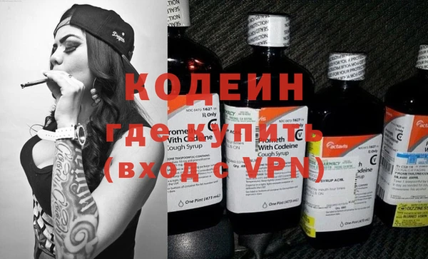 шишки Ладушкин