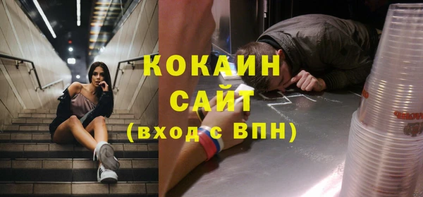 шишки Ладушкин